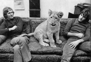 Christian The Lion ReUnion