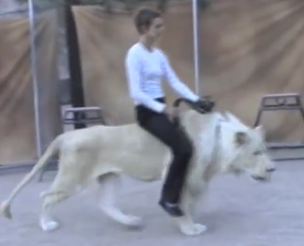 Brian McMillan Ride White Lion