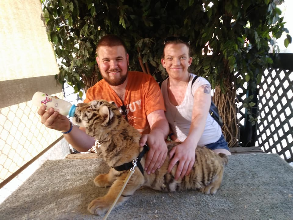 Cherokee Bear Zoo Exploiting Tiger Cubs