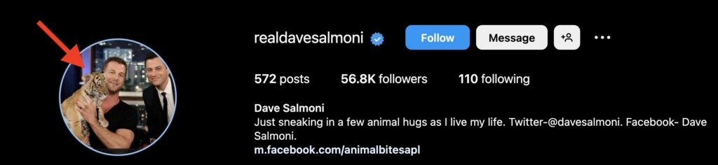 Dave Salmoni’s Instagram feed, “RealDaveSalmoni”, features him holding a tiger cub on Jimmy Kimmel Live! Knowing what we do now, the question is - Where did the tiger cub in the photo end up?