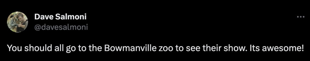 [According to Animal Planet](https://www.theglobeandmail.com/arts/television/dave-salmoni-from-sarnia-to-the-sahara/article584702/) and multiple sources, Dave Salmoni hales from the infamous Bowmanville Zoo in Canada, where he trained with dangerous big cats. Salmoni even promotes this notorious zoo on his social media: