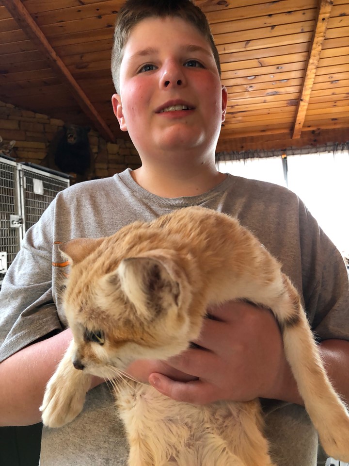 Frazier-Farms sandcats being held