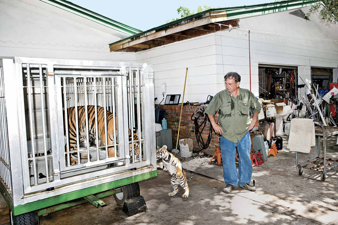 Burlington Animal Control