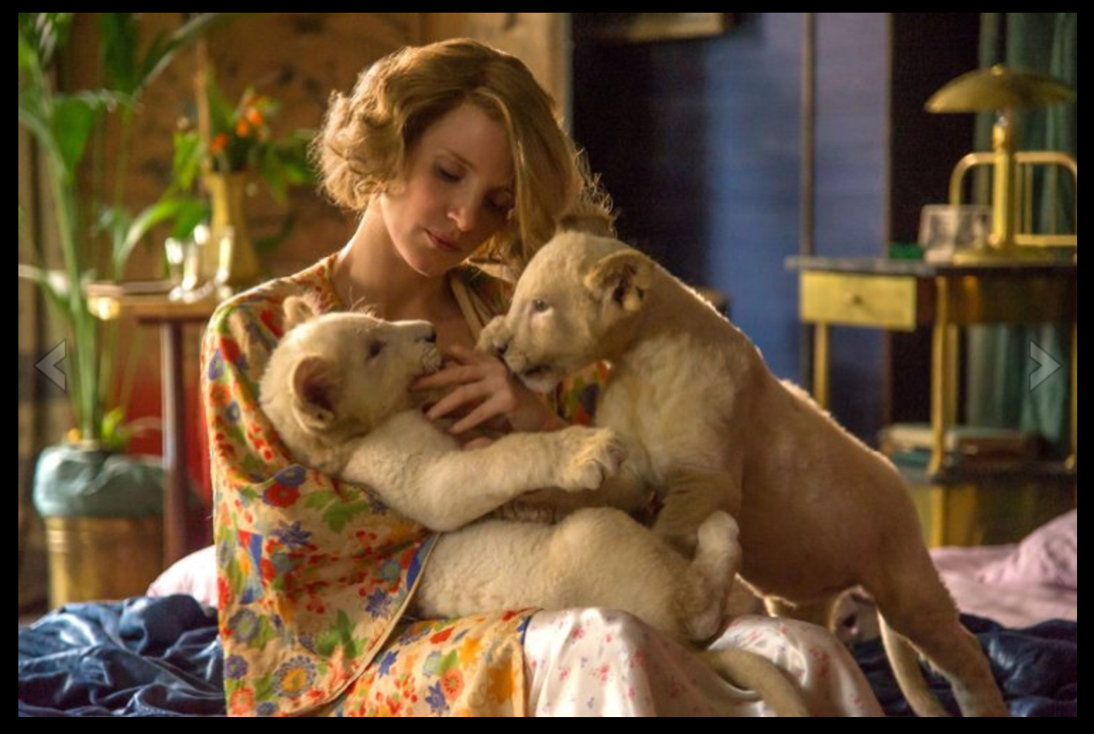 Zookeepers Wife Movie